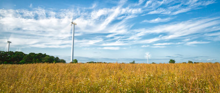Wind Power Stations in Field with a partly cloudy sky.
