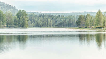 Lake with Forest and a cloudy sky.の写真素材
