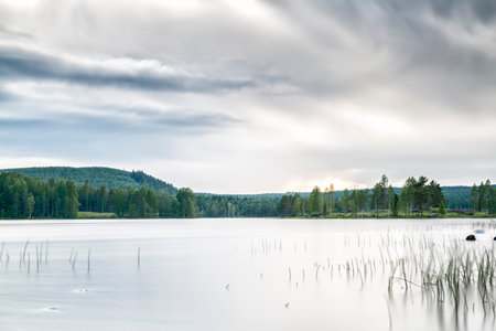 Lake with Forest and a cloudy sky.の写真素材