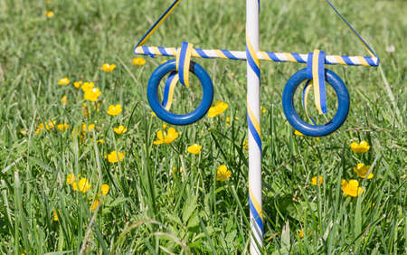Ornament Maypole in Grass with buttercup flowers.の写真素材
