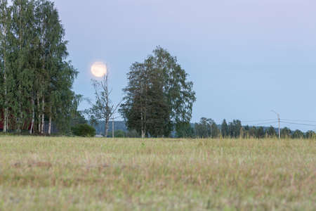 Field with Trees and Moon with a cloudy sky.の写真素材