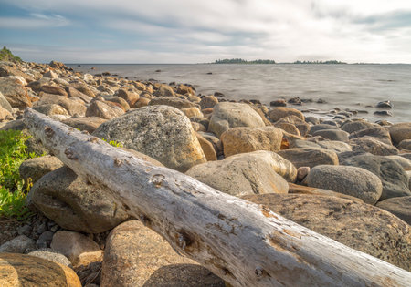 Driftwood on Rocky Seashore with a cloudy sky.の写真素材