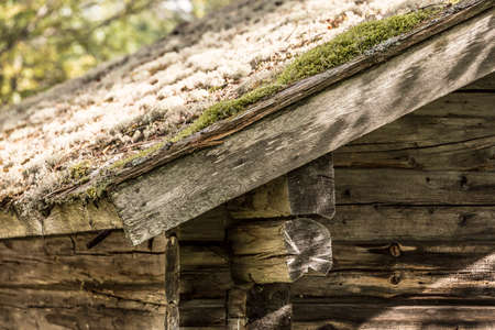 Mossy Roof on Timber Lodge close up.の写真素材