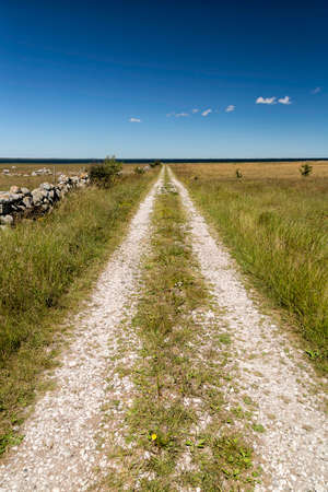 Gravel Road Leading to the Ocean.の写真素材