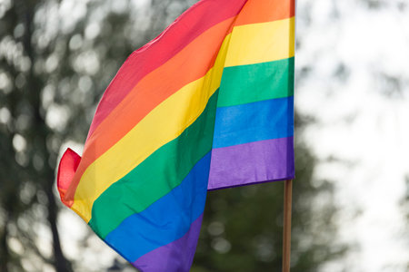 Rainbow Flag waving in the wind.