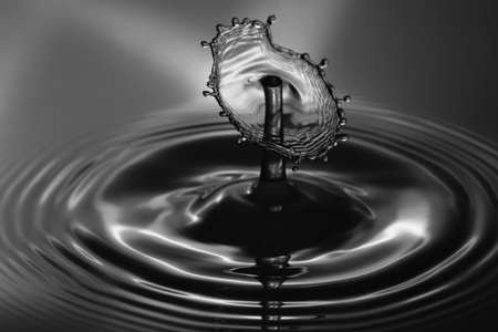 Water Droplet Splash Close Up Black and White.の写真素材