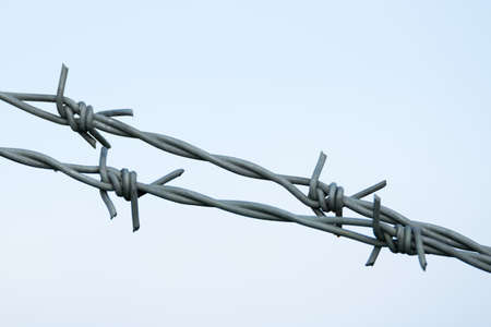 Barbed wire Close Up.の写真素材
