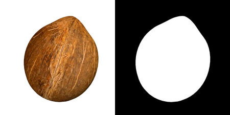 Front view of Food Fruit Vegetable (Coconut 2) png with alpha channel to cutout made with 3D renderの写真素材
