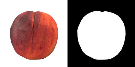 Front view of Food Fruit Vegetable (Peach 1) png with alpha channel to cutout made with 3D renderの写真素材