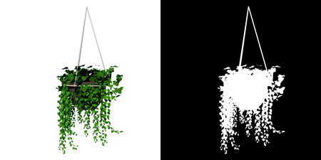 Front view of Plant (hanging pot with indoor plant 1) Tree png with alpha channel to cutout made with 3D renderの写真素材