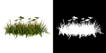 Front view of Plant (Yellow Flowers Lawn 1a) Tree png with alpha channel to cutout made with 3D renderの写真素材