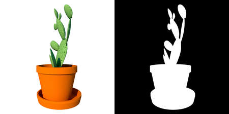 Front view of Plant (Pot with Cactus 3) Tree white background 3D Rendering Ilustracion 3Dの写真素材