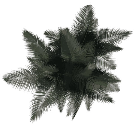 Top view of Plant (red Palm Tree 1) Tree illustration vectorのイラスト素材