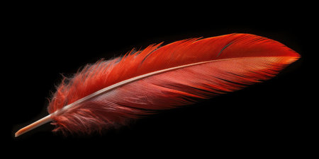 Red feather close up on black background. High quality photo. Generative AIの素材