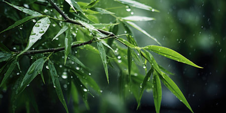 Young branches of bamboo on the leaves of which there are small drops of rain. Generative AIの素材