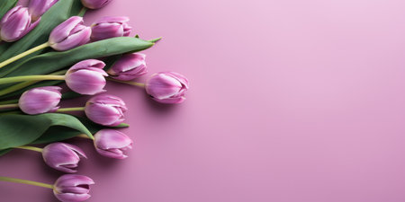 Bouquet of purple tulips on a pink background, top view, space for text.の素材