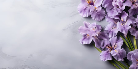 Purple bouquet of iris flowers on a dark background. Place for text, festive spring background.の素材