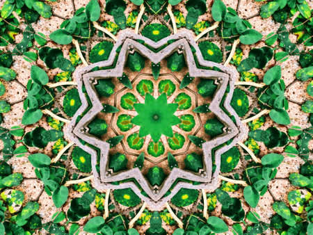 Wallpaper Background Abstract Pattern Effect Circle Color Tone.の写真素材