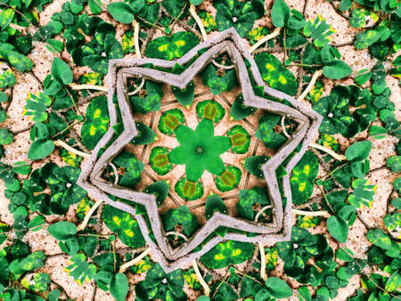 Wallpaper Background Abstract Pattern Effect Circle Color Tone.の写真素材