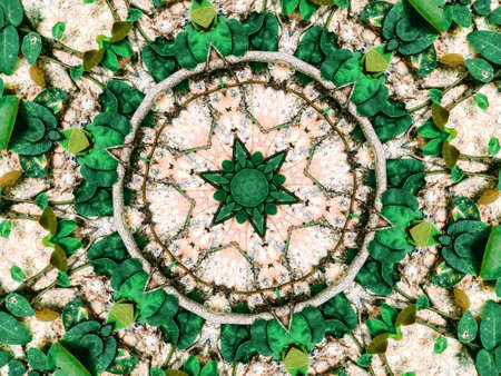 Wallpaper Background Abstract Pattern Effect Circle Color Tone.の写真素材