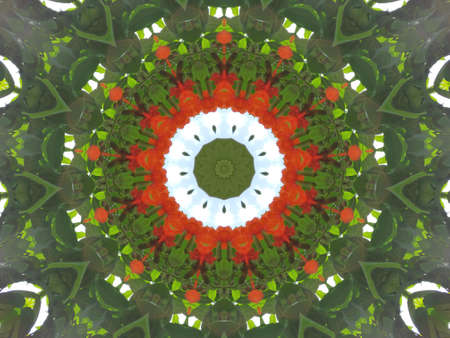 Wallpaper Background Abstract Pattern Effect Circle Color Tone.の写真素材