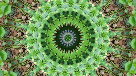 Abstract background, circular pattern, available in various colors.の写真素材