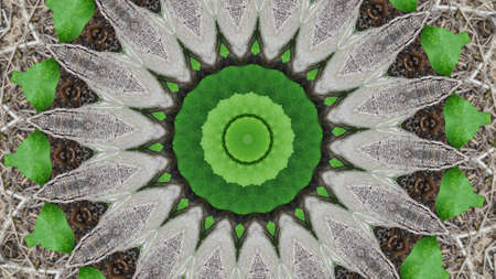 Abstract background, circular pattern, available in various colors.の写真素材
