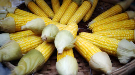 Street food culture in Thailand has many types.の写真素材