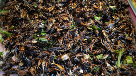 Street food culture in Insects for sale on the street, sidewalk, Bangkok, Thailand.の写真素材
