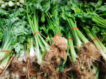 Vegetable stall in Bangkok, Thailand.の写真素材