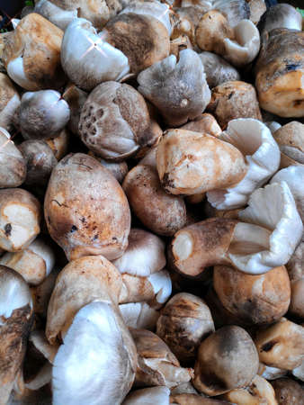 Vegetable stall in Bangkok, Thailand.の写真素材