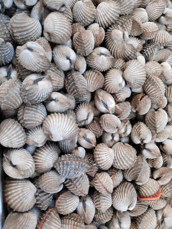 Steamed cockles, boiled cockles, street food market, Bangkok, Thailand.の写真素材