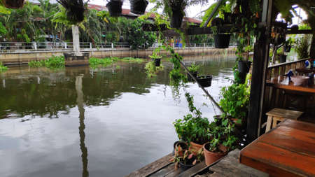 The dining table beside the canal, decorated with ornamental plants in pots, makes the atmosphere shady and beautiful.の写真素材