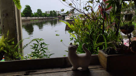 The dining table beside the canal, decorated with ornamental plants in pots, makes the atmosphere shady and beautiful.の写真素材