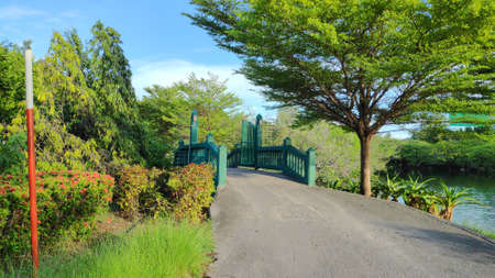 A small green wooden bridge over the canal in the park Bangkok, Thailand.の写真素材