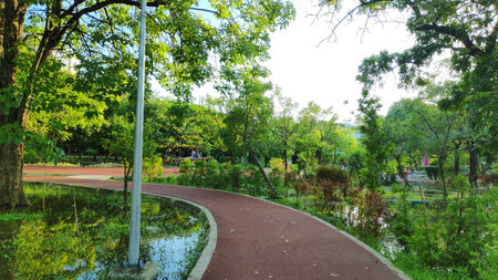 Red jogging track in Bangkok, Thailand public park.
