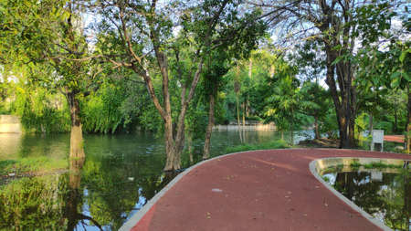 Red jogging track in Bangkok, Thailand public park.の写真素材