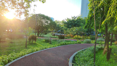 Red jogging track in Bangkok, Thailand public park.の写真素材