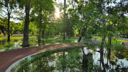 Red jogging track in Bangkok, Thailand public park.の写真素材