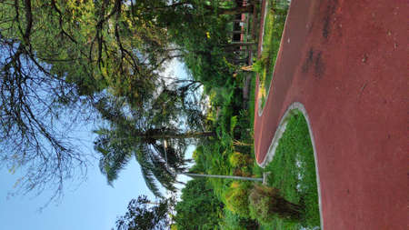Red jogging track in Bangkok, Thailand public park.の写真素材