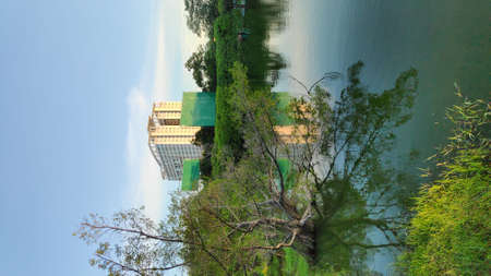 The park looks shady and beautiful with ponds and ornamental plants.の写真素材