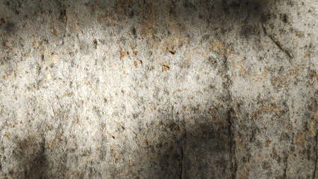 The rough surface of the tree bark is used as a background.の写真素材