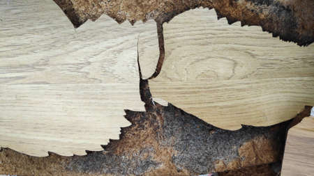 Stock Photo - The brown planks are cracked and damaged.の写真素材