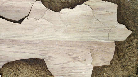 Stock Photo - The brown planks are cracked and damaged.の写真素材