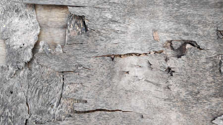 Stock Photo - The brown planks are cracked and damaged.の写真素材
