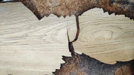 Stock Photo - The brown planks are cracked and damaged.の写真素材
