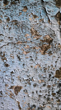 Stock Photo - The old flaky blue paint peels off the old cement plaster wall.の写真素材