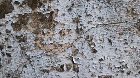 Stock Photo - The old flaky blue paint peels off the old cement plaster wall.の写真素材