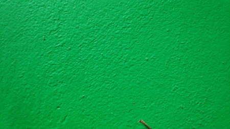 Stock Photo - Green cement plaster wall texture for background.の写真素材