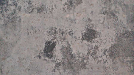 Stock Photo - Dirty mold or fungus with dry black moss on the surface of a gray polished plaster wall.の写真素材
